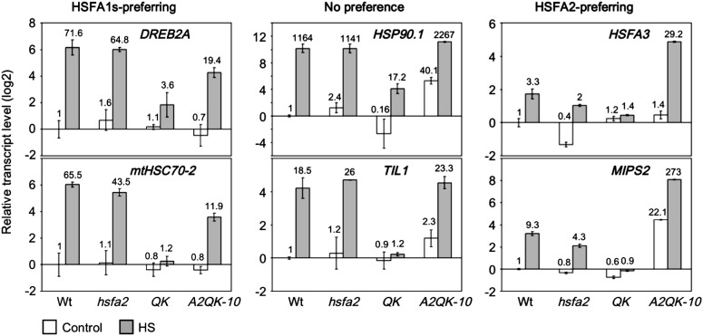 Figure 6.