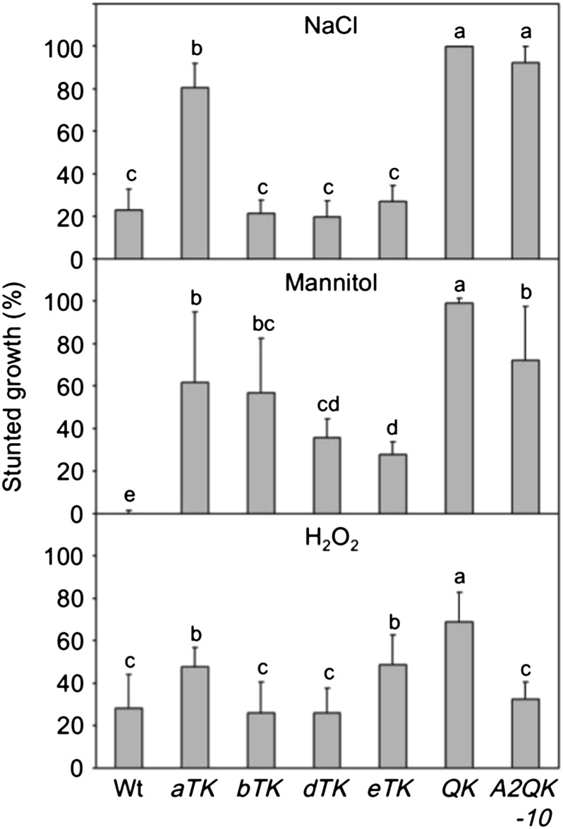 Figure 10.