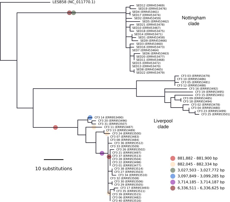 Fig. 4.