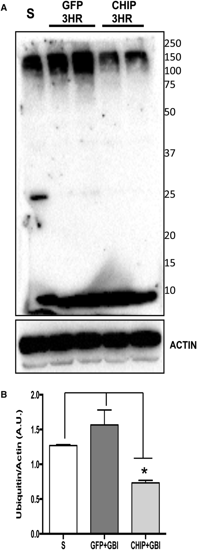 Figure 6