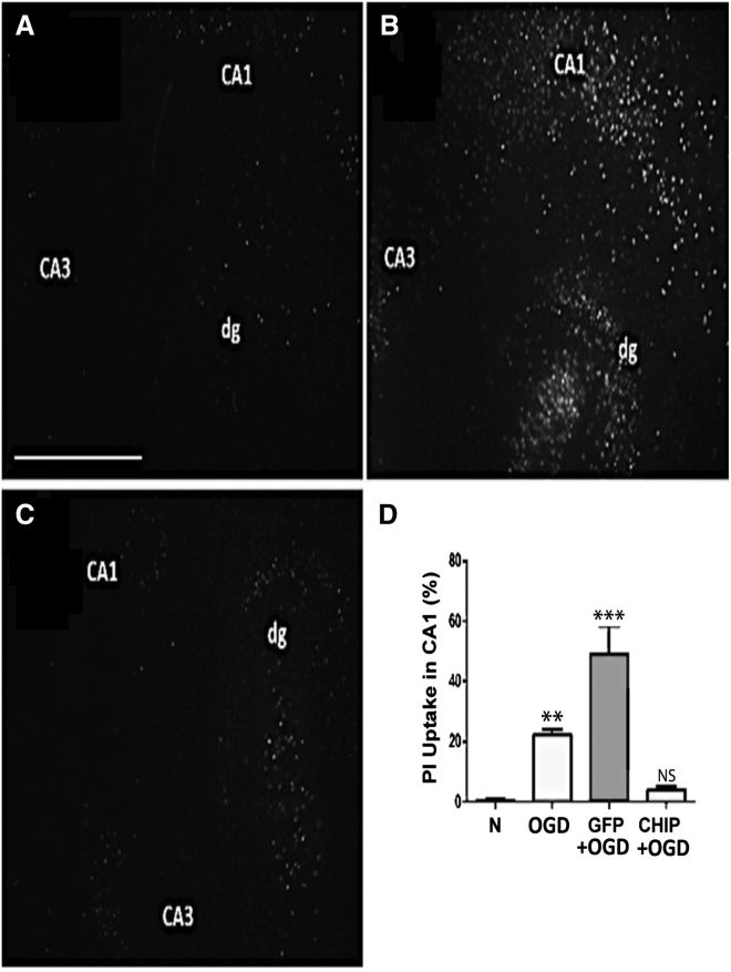 Figure 1