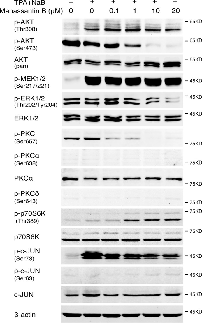 Figure 4.