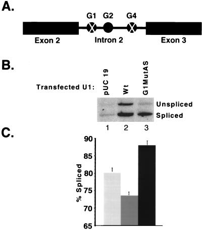 FIG. 8