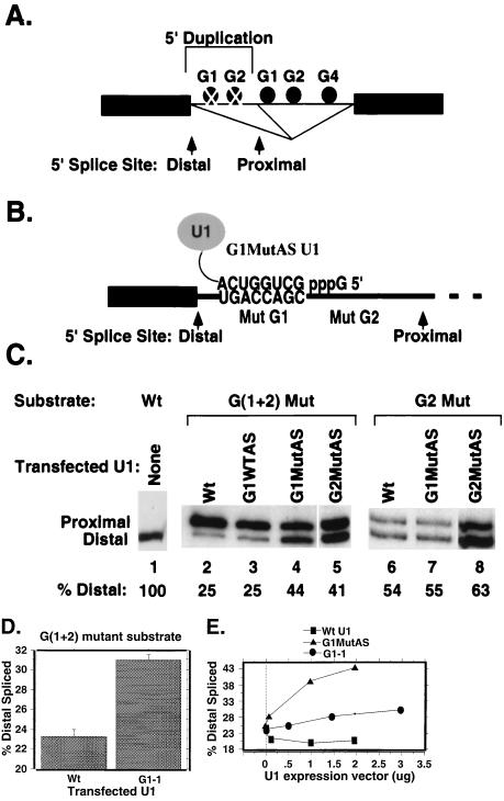 FIG. 7