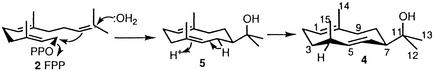 Scheme 2