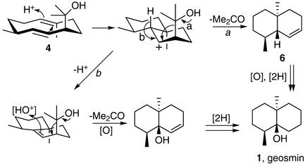 Scheme 3