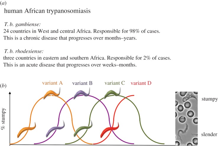 Figure 1.