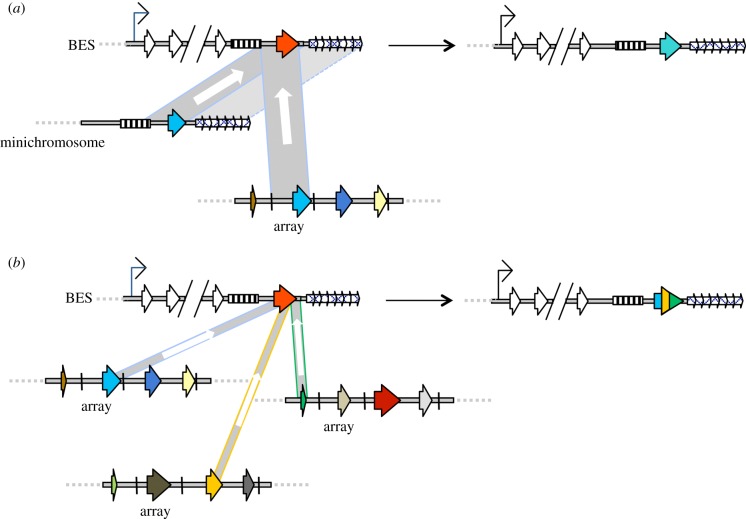 Figure 2.