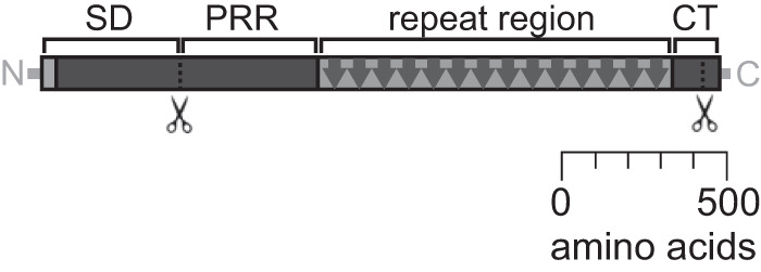 FIG 1