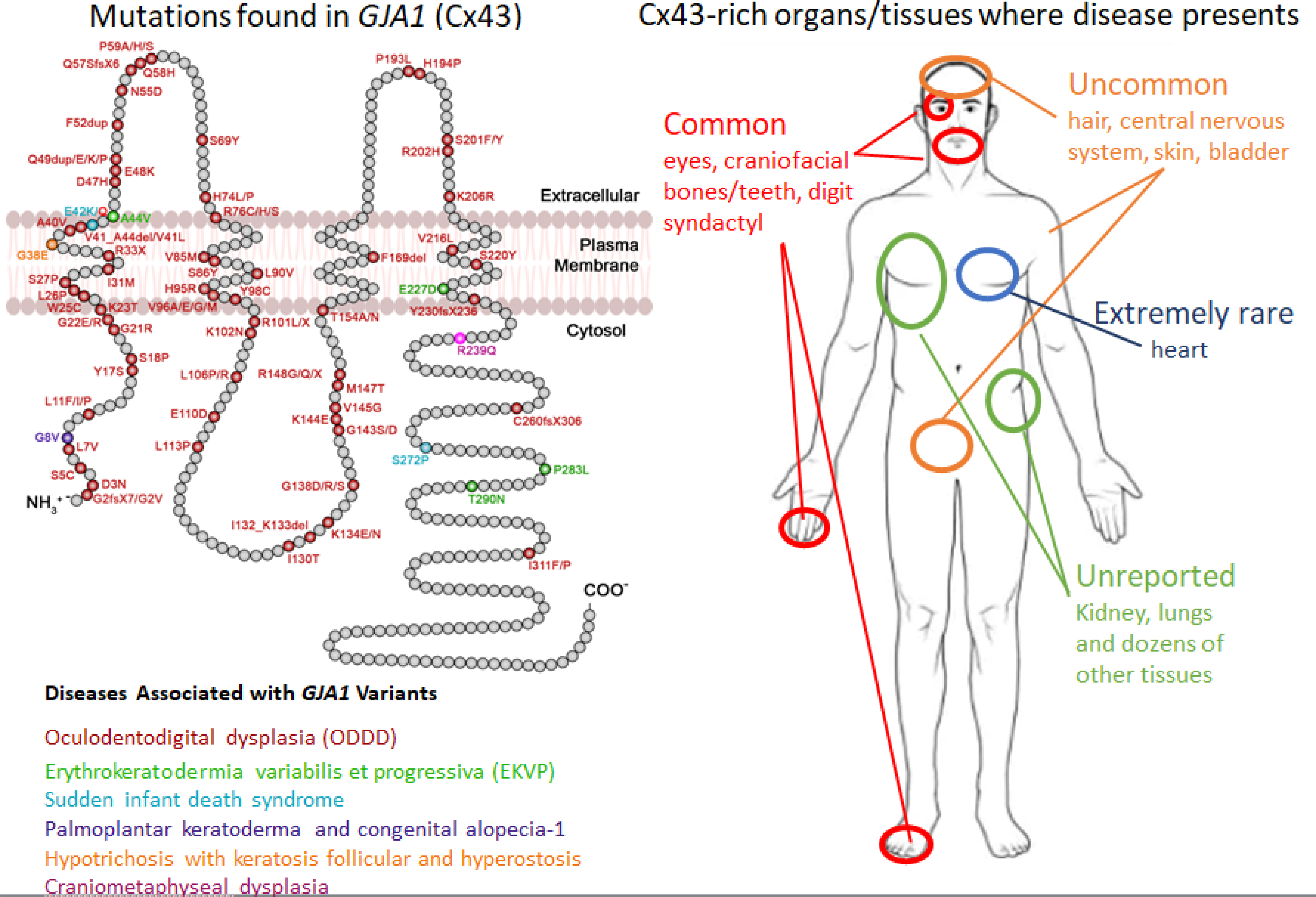 Figure 2: