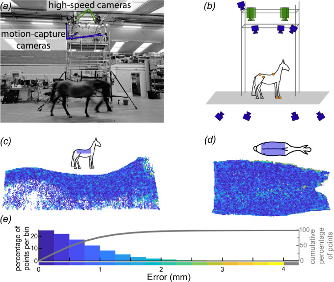 Schematic of our equine back-surface-measurement apparatus and evaluation of its accuracy