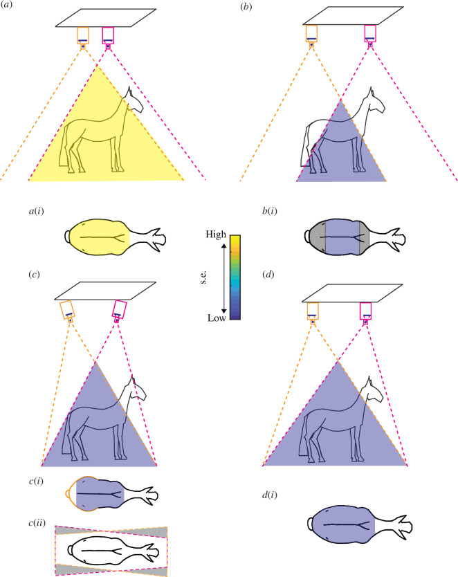 Schematics of theoretical paired-camera configurations and associated images of the horizontal back surface