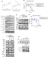 Figure 6: