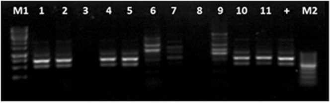 Figure 4