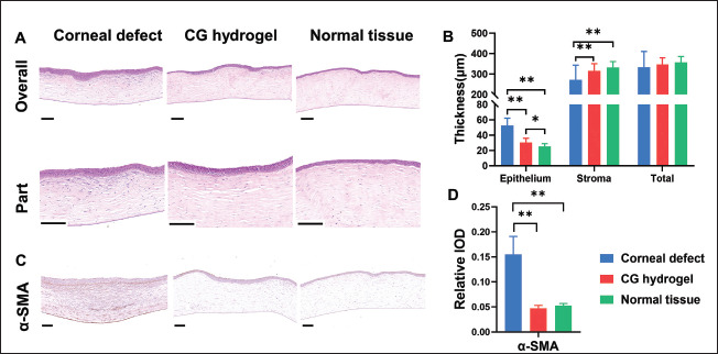 Figure 10.