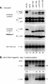 FIG. 8.