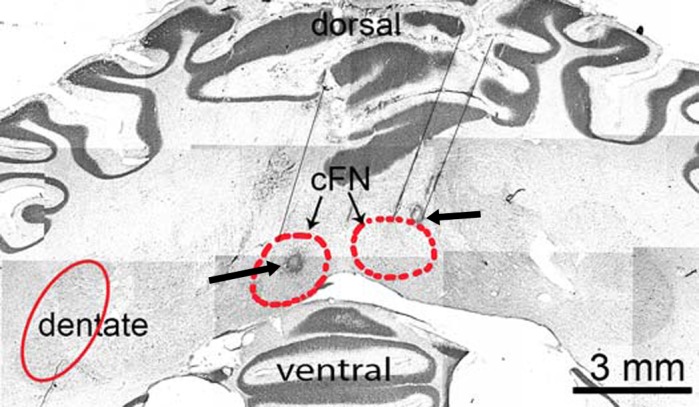 Fig. 9.