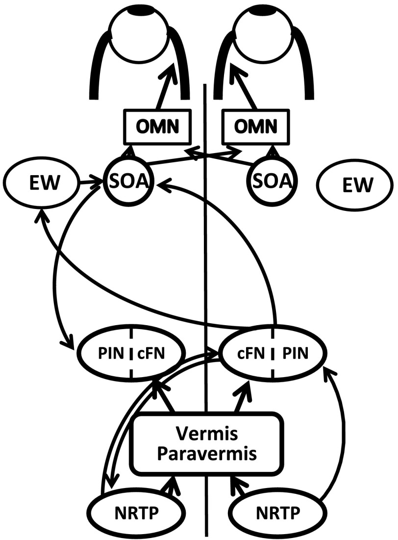 Fig. 10.