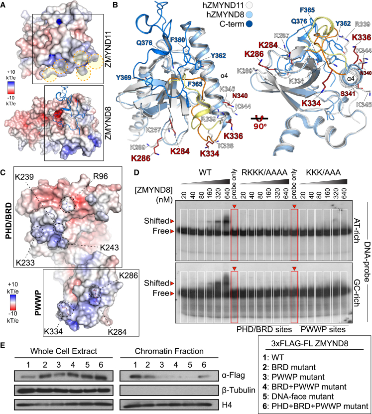 Figure 4