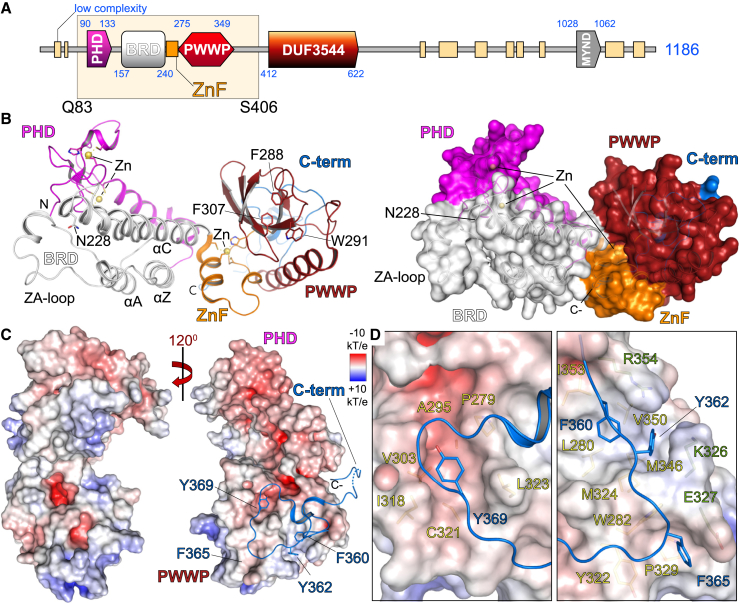 Figure 1