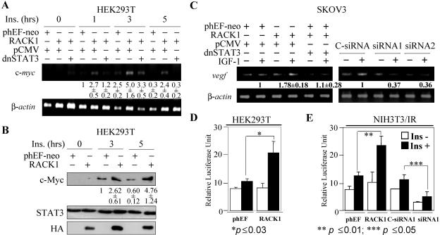 FIG. 7.