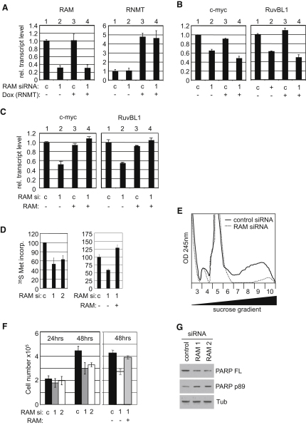 Figure 6