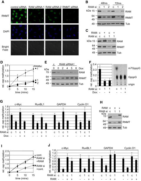 Figure 5