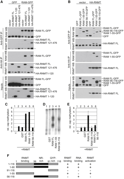 Figure 4