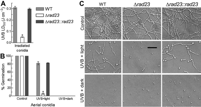 FIG 3