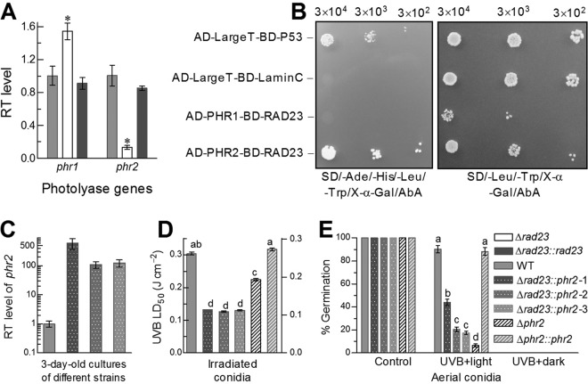 FIG 4