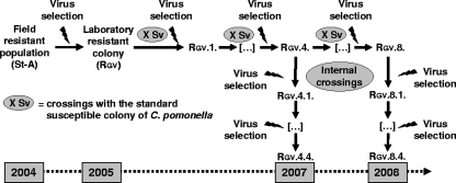 FIG. 1.