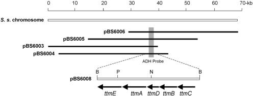 FIG. 2.