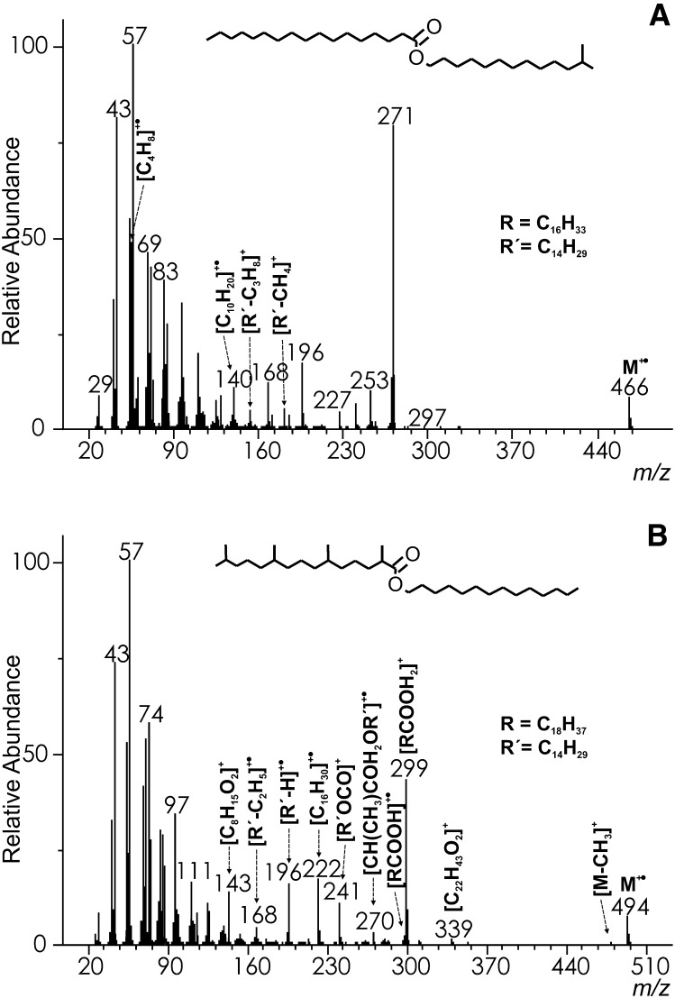 Fig.3.