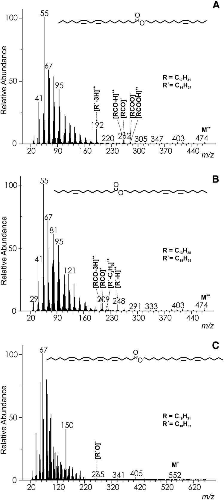 Fig.5.