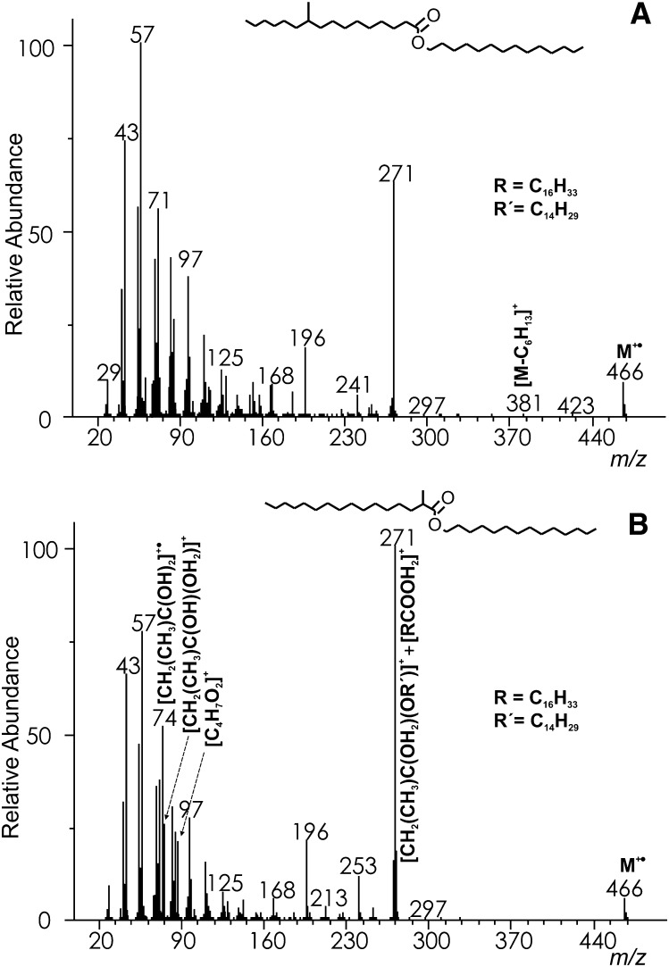 Fig.2.