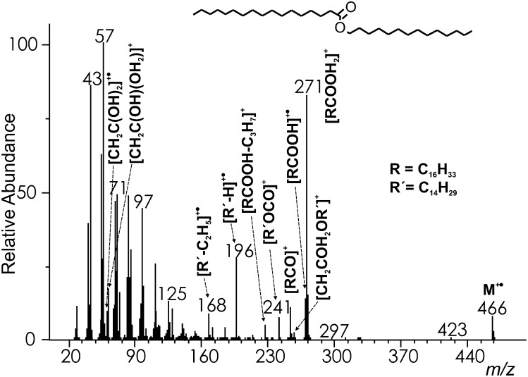 Fig.1.