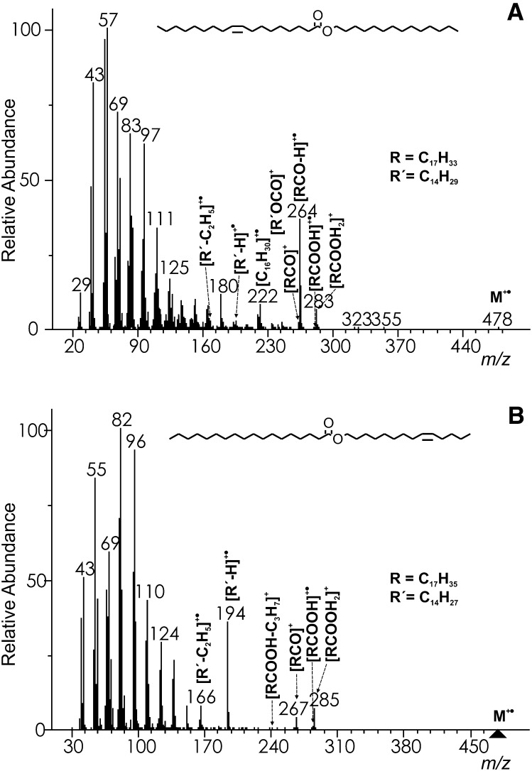 Fig.4.