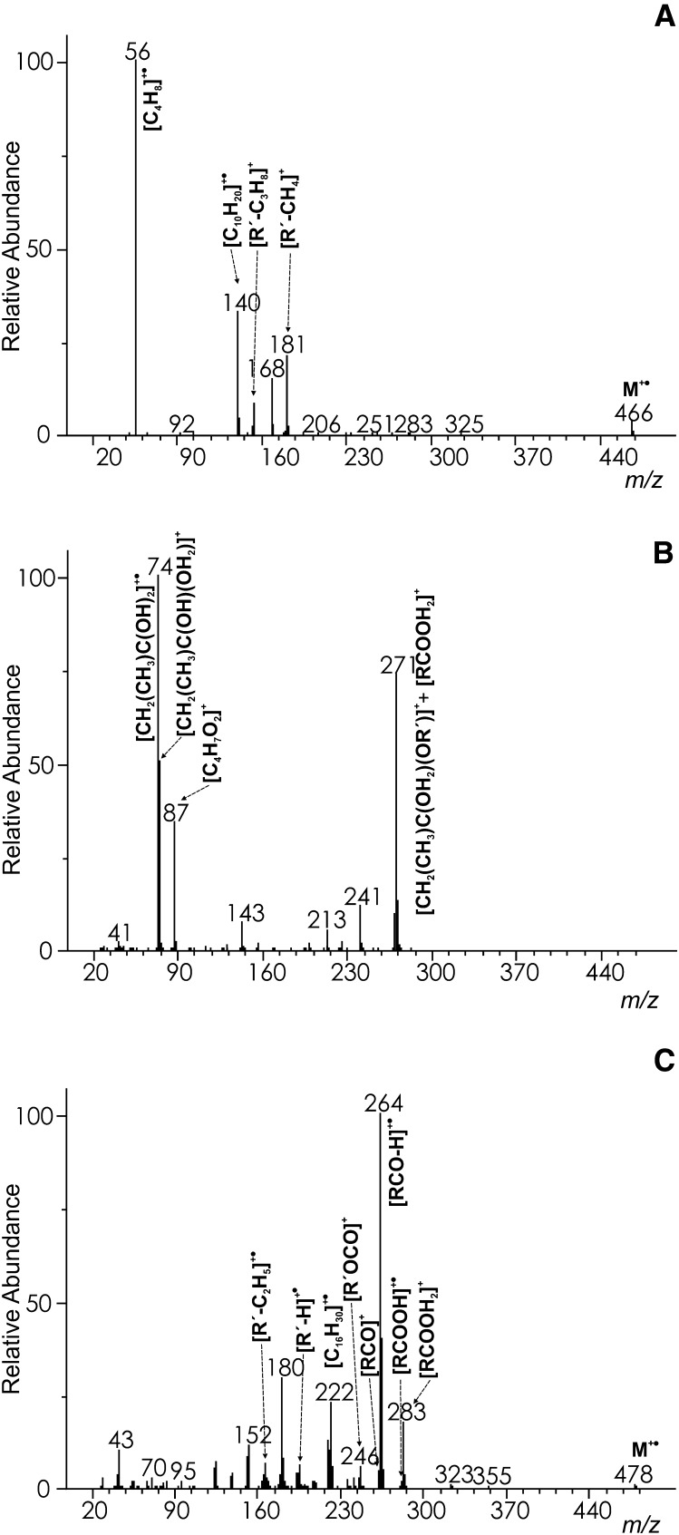 Fig.6.