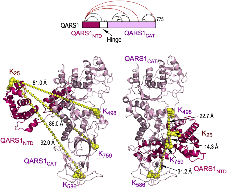 Figure 4