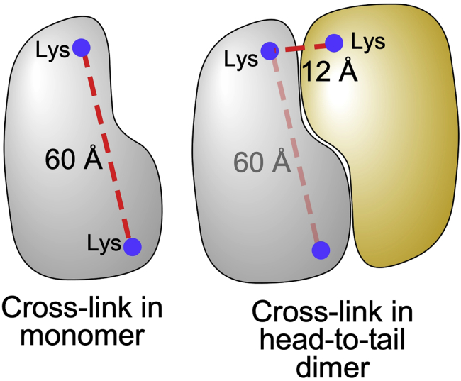 Figure 5