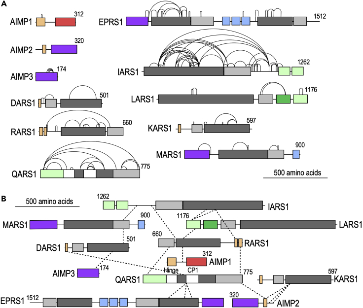 Figure 2