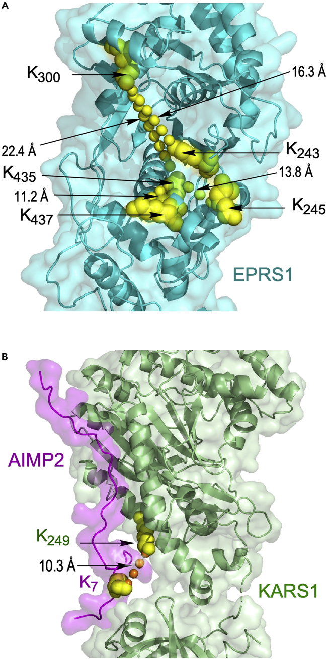 Figure 3