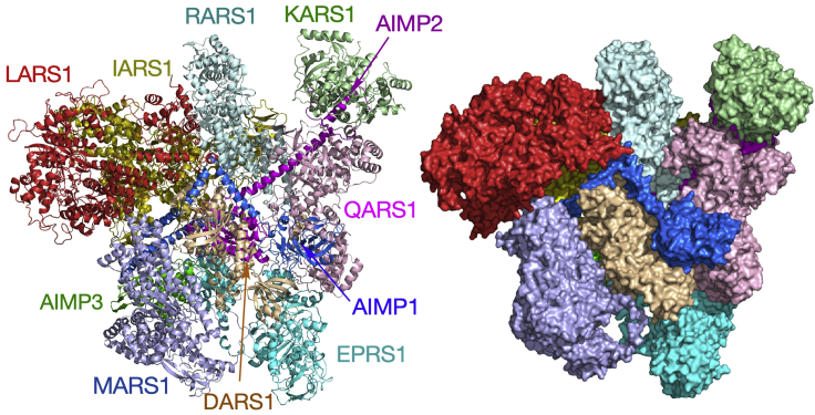 Figure 6