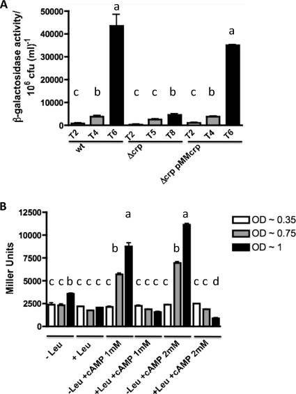 Fig 9