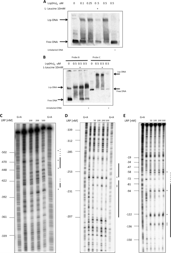 Fig 5