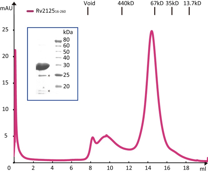 FIG 2