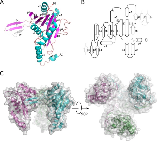 FIG 1