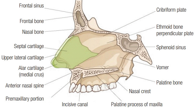 Fig. 14.