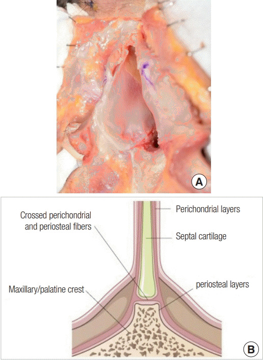 Fig. 15.