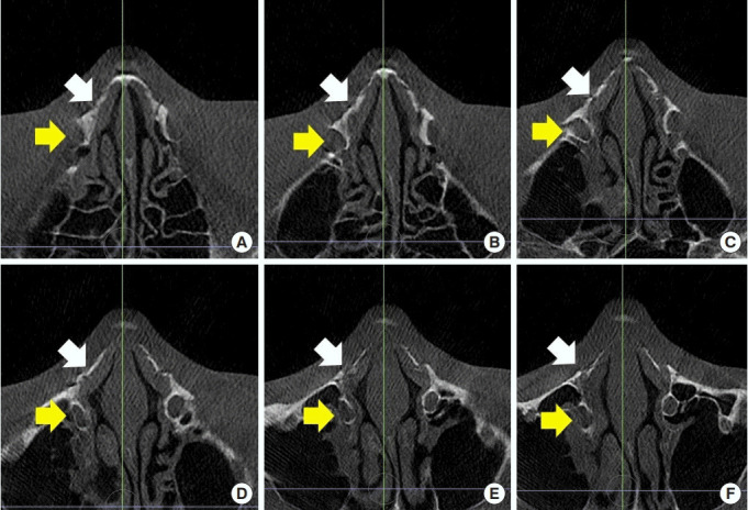 Fig. 8.